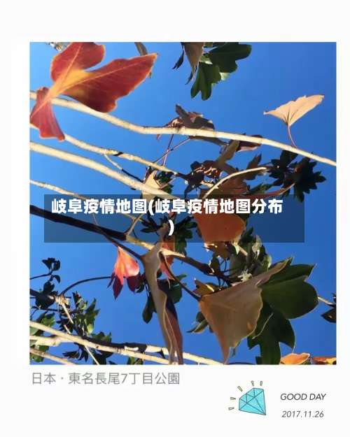 岐阜疫情地图(岐阜疫情地图分布)-第3张图片