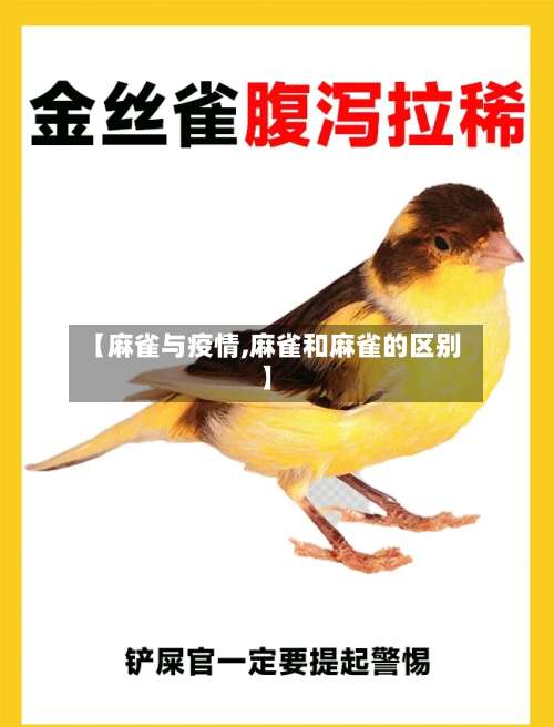 【麻雀与疫情,麻雀和麻雀的区别】