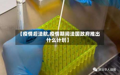 【疫情后法航,疫情期间法国政府推出什么计划】