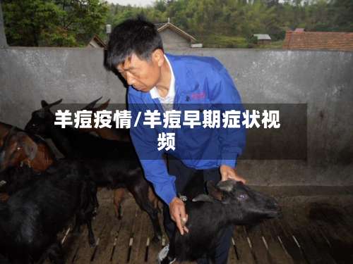 羊痘疫情/羊痘早期症状视频