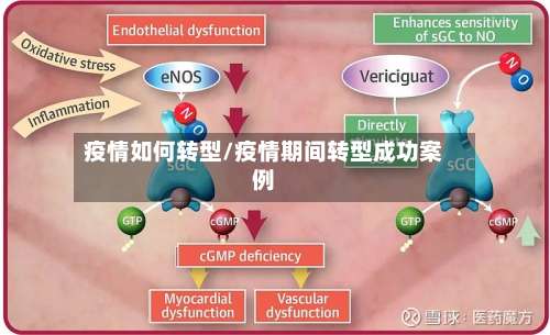 疫情如何转型/疫情期间转型成功案例