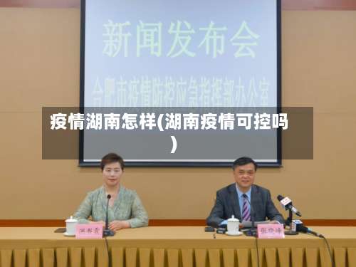 疫情湖南怎样(湖南疫情可控吗)
