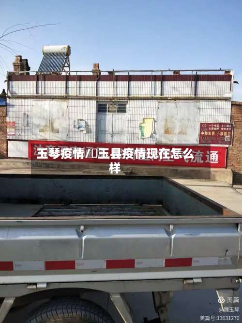 玉琴疫情/埼玉县疫情现在怎么样-第3张图片