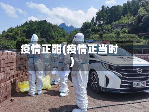 疫情正酣(疫情正当时)-第3张图片