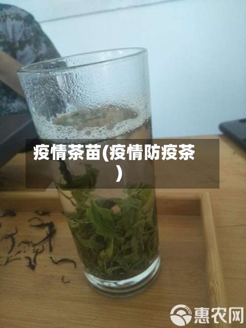 疫情茶苗(疫情防疫茶)