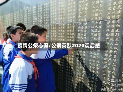 疫情公祭心得/公祭英烈2020观后感-第3张图片