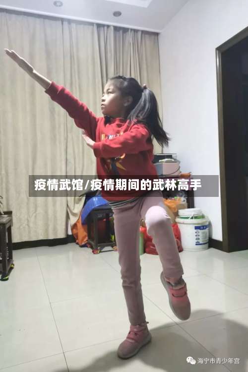 疫情武馆/疫情期间的武林高手-第2张图片