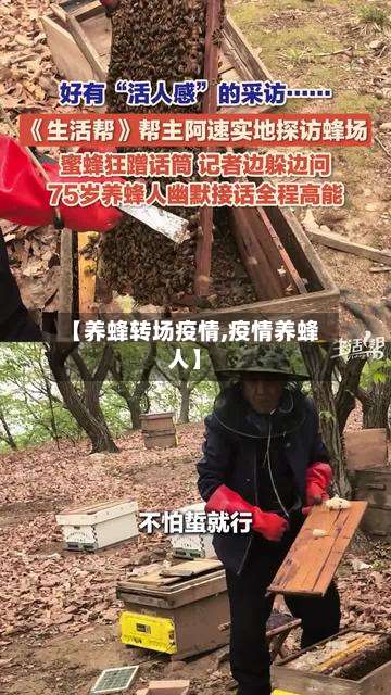 【养蜂转场疫情,疫情养蜂人】
