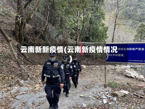 云南新新疫情(云南新疫情情况)-第3张图片