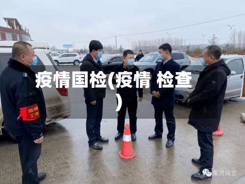 疫情国检(疫情 检查)