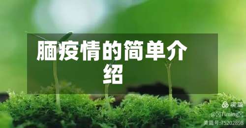 腼疫情的简单介绍-第3张图片