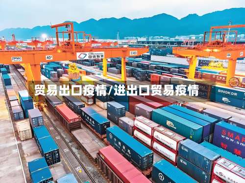 贸易出口疫情/进出口贸易疫情