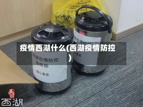 疫情西湖什么(西湖疫情防控)