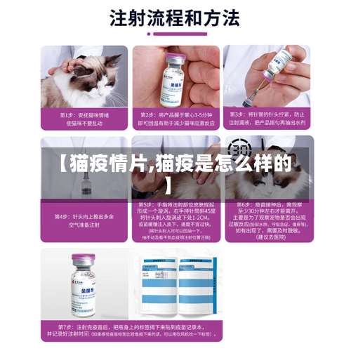 【猫疫情片,猫疫是怎么样的】