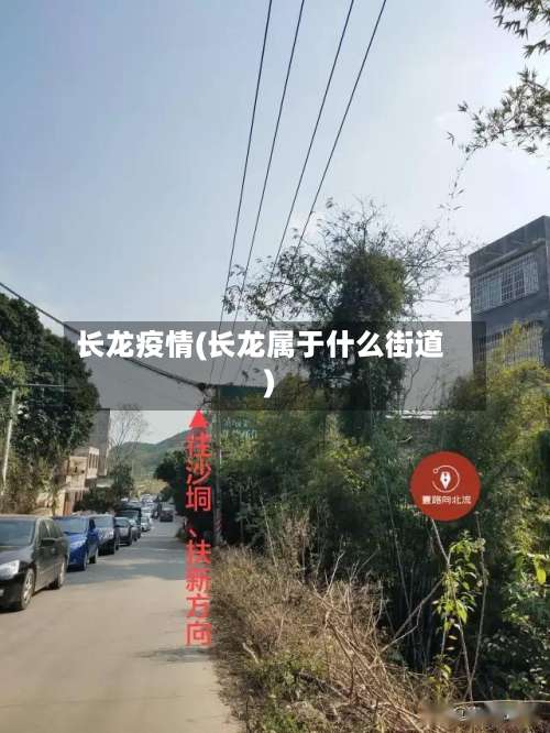 长龙疫情(长龙属于什么街道)-第3张图片