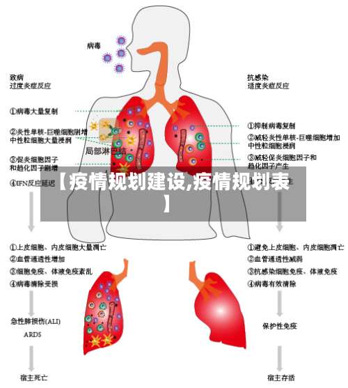 【疫情规划建设,疫情规划表】