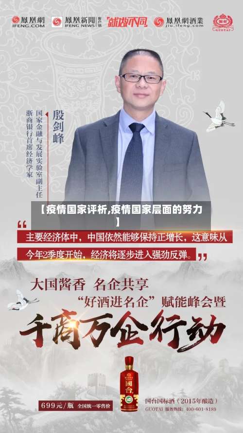 【疫情国家评析,疫情国家层面的努力】