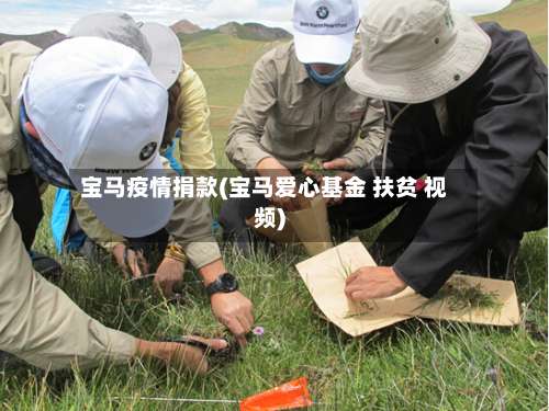 宝马疫情捐款(宝马爱心基金 扶贫 视频)-第2张图片