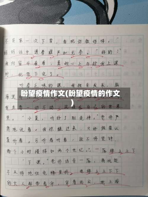 盼望疫情作文(盼望疫情的作文)-第2张图片