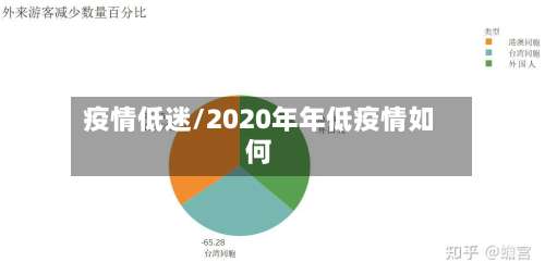 疫情低迷/2020年年低疫情如何