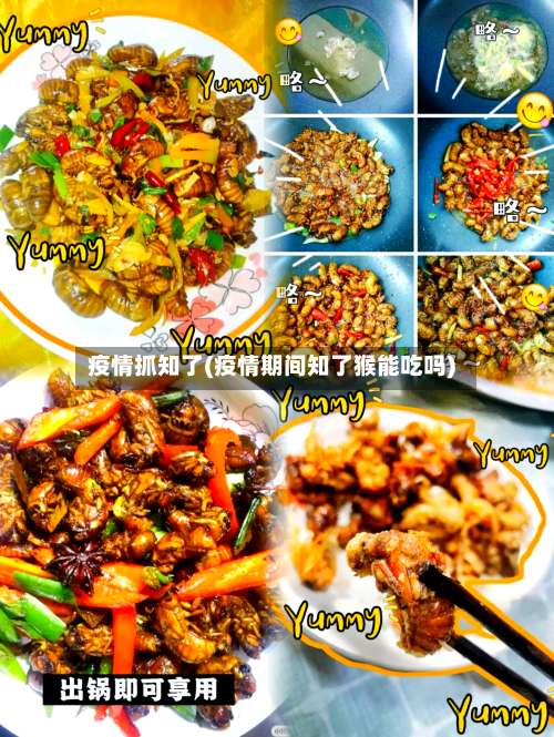 疫情抓知了(疫情期间知了猴能吃吗)