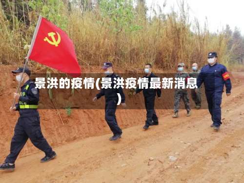 景洪的疫情(景洪疫情最新消息)-第3张图片