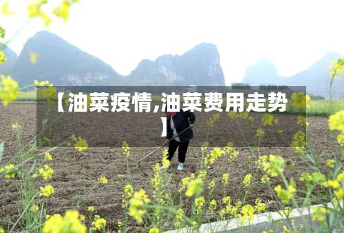 【油菜疫情,油菜费用走势】-第3张图片