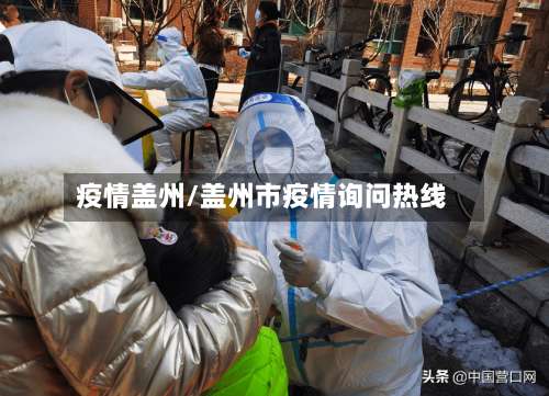 疫情盖州/盖州市疫情询问热线