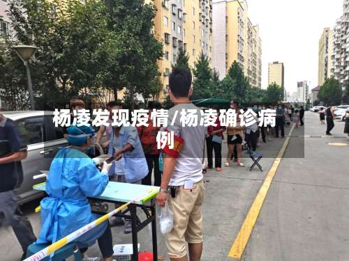 杨凌发现疫情/杨凌确诊病例