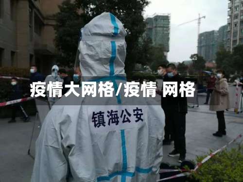 疫情大网格/疫情 网格-第2张图片