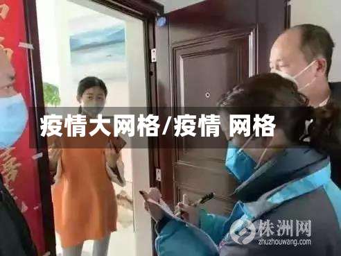 疫情大网格/疫情 网格