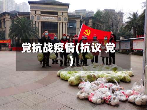 党抗战疫情(抗议 党)-第2张图片