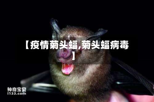 【疫情菊头蝠,菊头蝠病毒】-第2张图片
