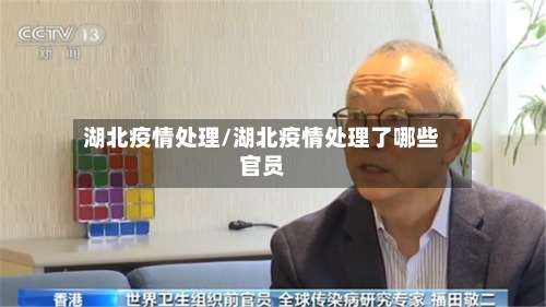 湖北疫情处理/湖北疫情处理了哪些官员