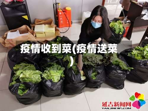 疫情收到菜(疫情送菜)-第2张图片