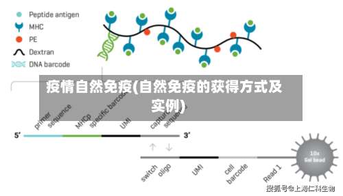 疫情自然免疫(自然免疫的获得方式及实例)