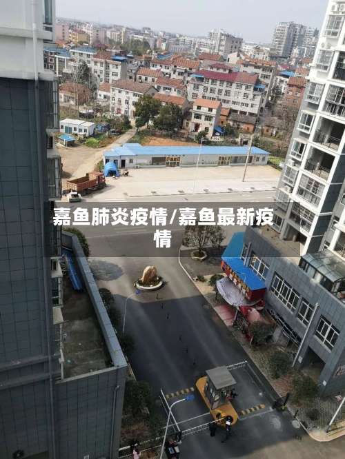 嘉鱼肺炎疫情/嘉鱼最新疫情-第3张图片