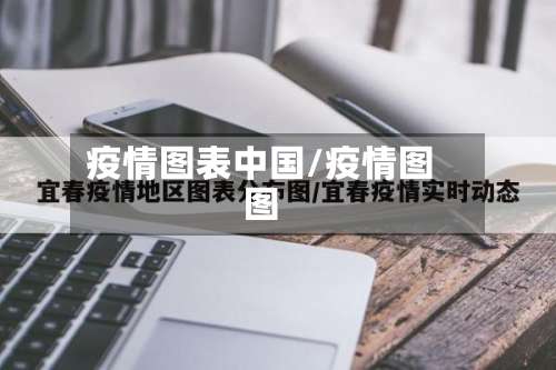 疫情图表中国/疫情图图-第3张图片