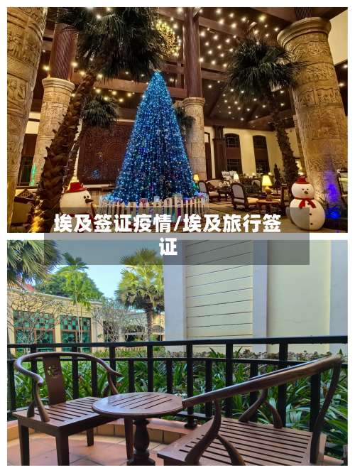 埃及签证疫情/埃及旅行签证