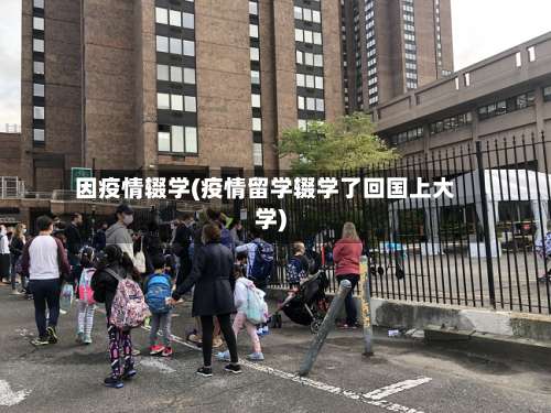 因疫情辍学(疫情留学辍学了回国上大学)