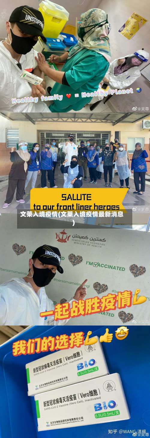 文莱入境疫情(文莱入境疫情最新消息)-第3张图片