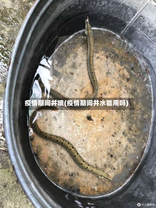 疫情期间井喷(疫情期间井水能用吗)