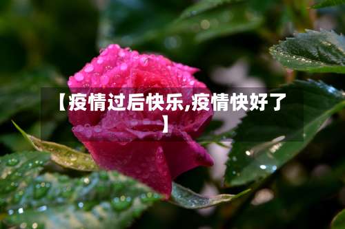 【疫情过后快乐,疫情快好了】