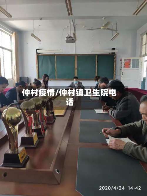 仲村疫情/仲村镇卫生院电话-第2张图片