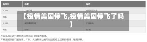 【疫情美国停飞,疫情美国停飞了吗】-第3张图片