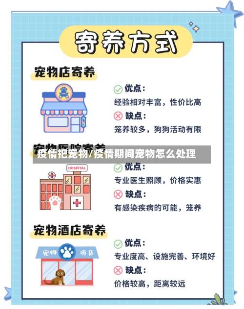 疫情把宠物/疫情期间宠物怎么处理
