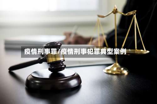 疫情刑事罪/疫情刑事犯罪典型案例-第2张图片
