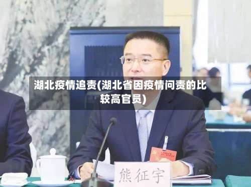 湖北疫情追责(湖北省因疫情问责的比较高官员)