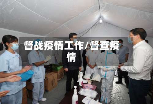 督战疫情工作/督查疫情