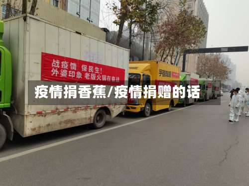 疫情捐香蕉/疫情捐赠的话